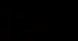 Black_background-5